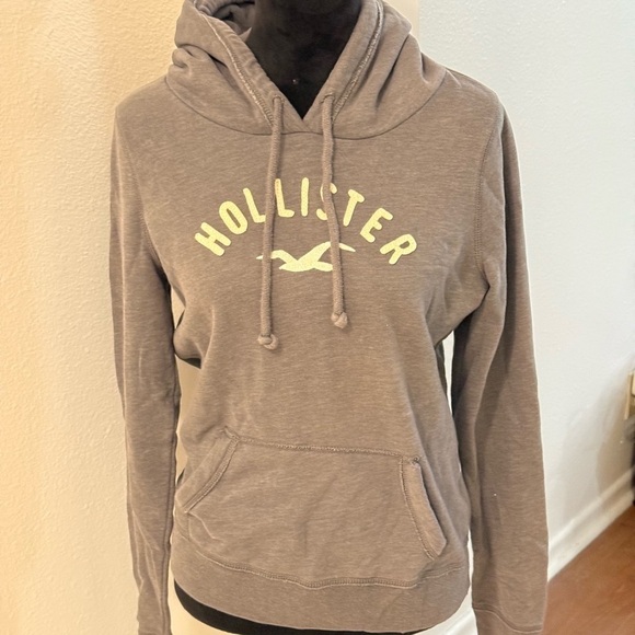 Hollister Tops - Hollister Women’s Grey Long Sleeve Hoodie